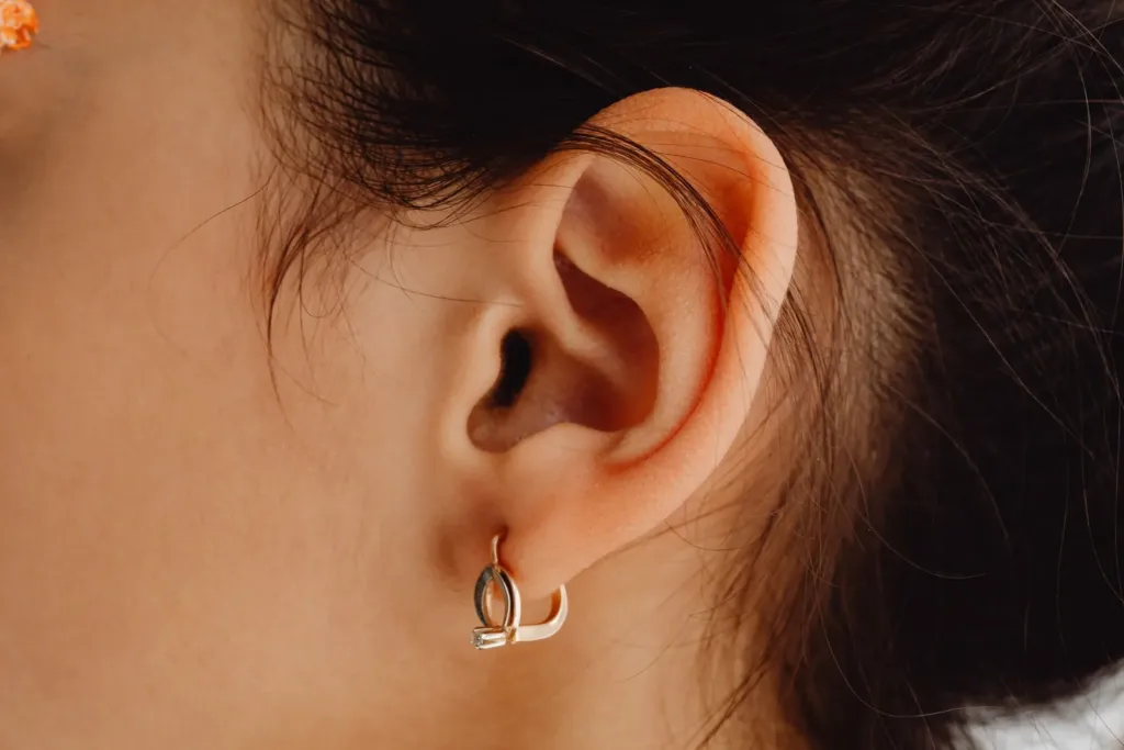 Piercing 8093082 - AUREA Lab Antananarivo